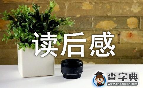 《忠誠是無價之寶》讀后感范文1