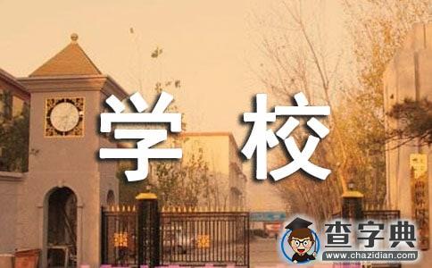 支教受援學校工作總結范文1